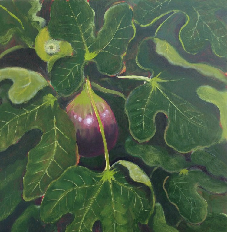 Image result for fig tree painting